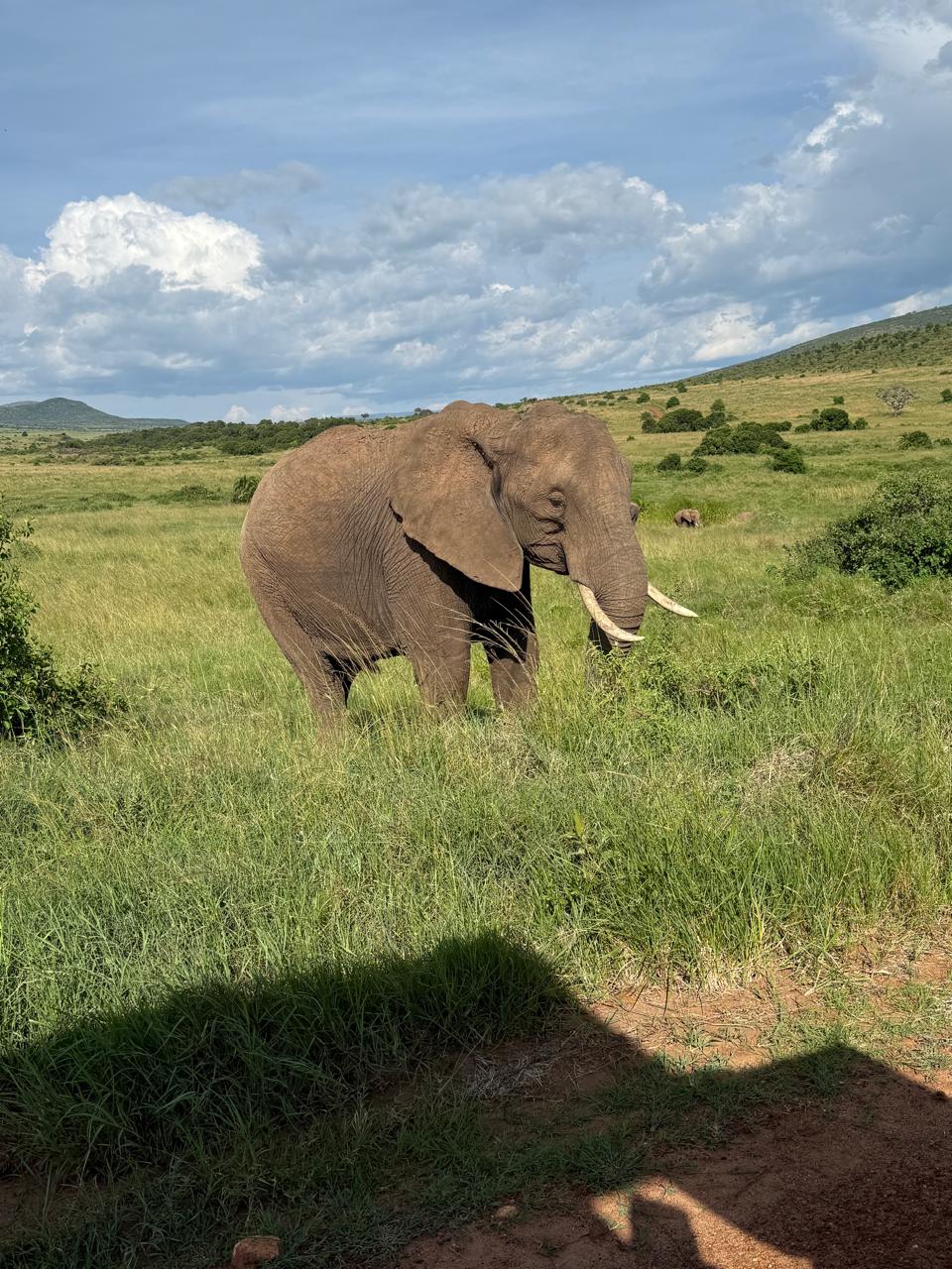 5-Day Northern Tanzania Safari – Tarangire, Manyara, Ngorongoro & Serengeti